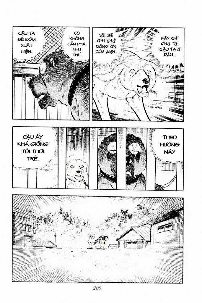 Chú Chó Có Nghĩa - Ginga Nagareboshi Gin Chapter 29.1 trang 19