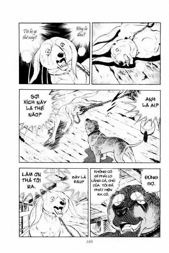 Chú Chó Có Nghĩa - Ginga Nagareboshi Gin Chapter 29.1 trang 2