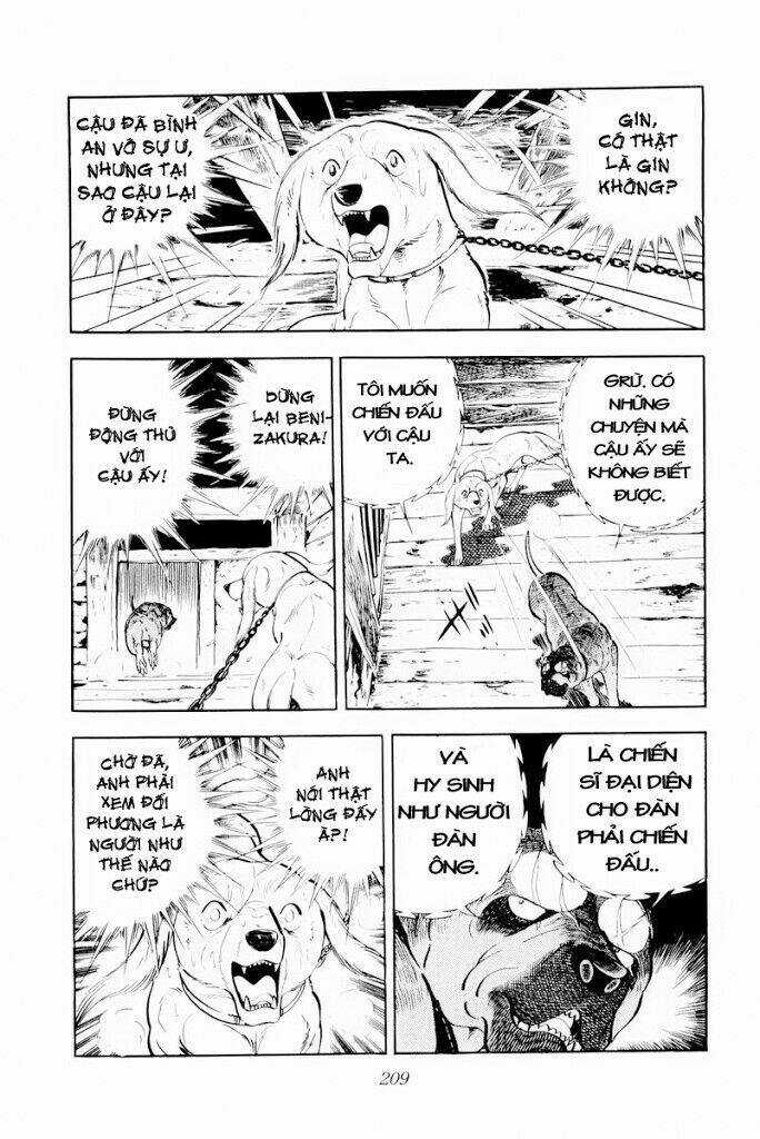 Chú Chó Có Nghĩa - Ginga Nagareboshi Gin Chapter 29.1 trang 22