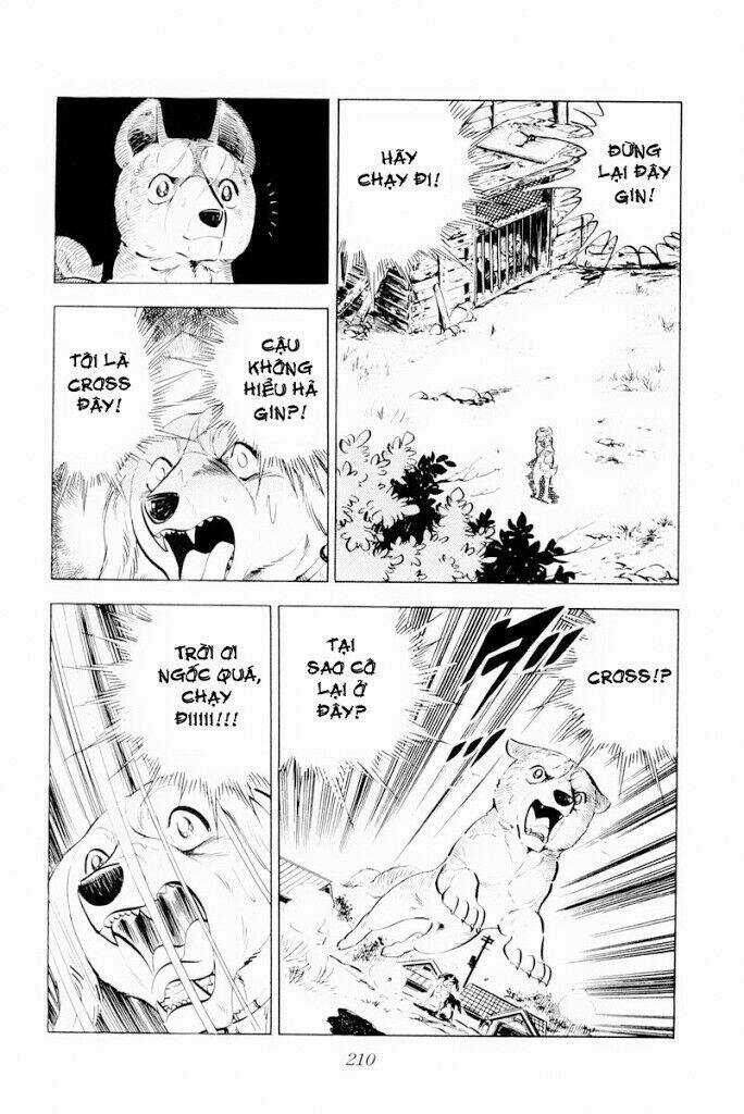 Chú Chó Có Nghĩa - Ginga Nagareboshi Gin Chapter 29.1 trang 23