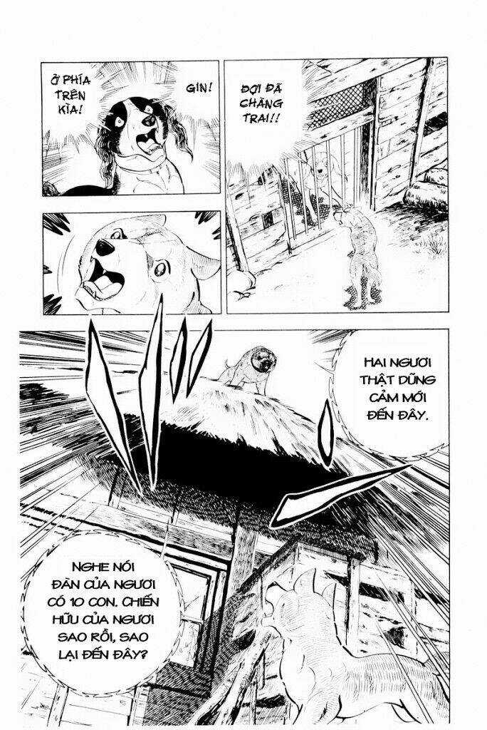Chú Chó Có Nghĩa - Ginga Nagareboshi Gin Chapter 29.1 trang 24