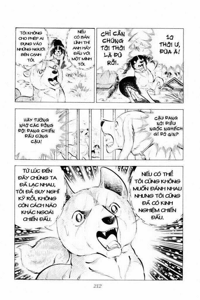 Chú Chó Có Nghĩa - Ginga Nagareboshi Gin Chapter 29.1 trang 25