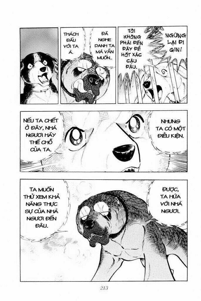 Chú Chó Có Nghĩa - Ginga Nagareboshi Gin Chapter 29.1 trang 26