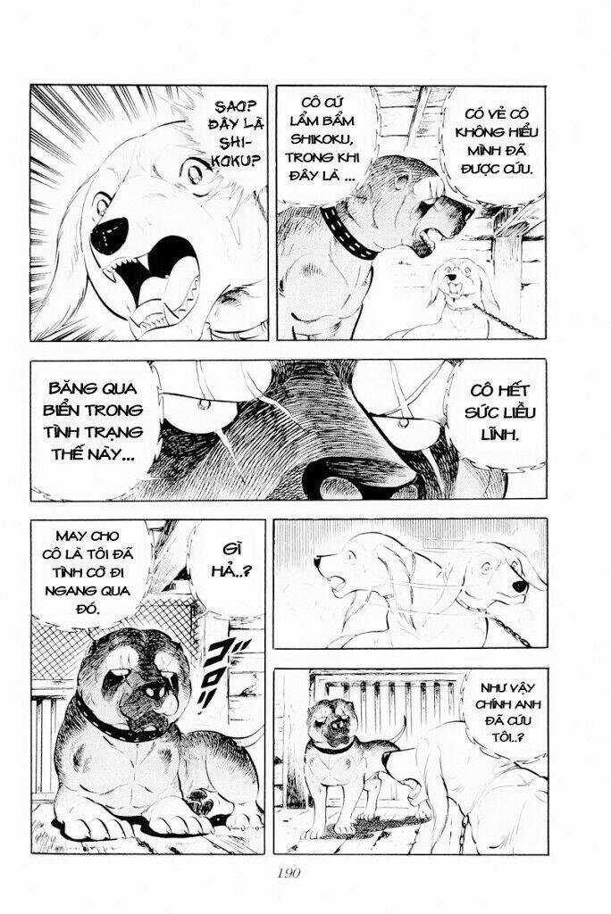 Chú Chó Có Nghĩa - Ginga Nagareboshi Gin Chapter 29.1 trang 3