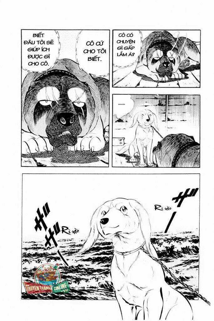 Chú Chó Có Nghĩa - Ginga Nagareboshi Gin Chapter 29.1 trang 4