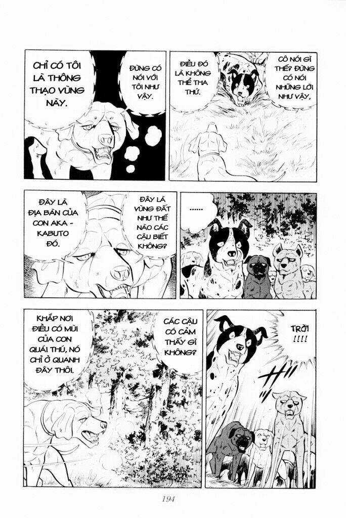 Chú Chó Có Nghĩa - Ginga Nagareboshi Gin Chapter 29.1 trang 7