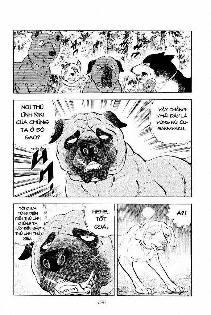 Chú Chó Có Nghĩa - Ginga Nagareboshi Gin Chapter 29.1 trang 9