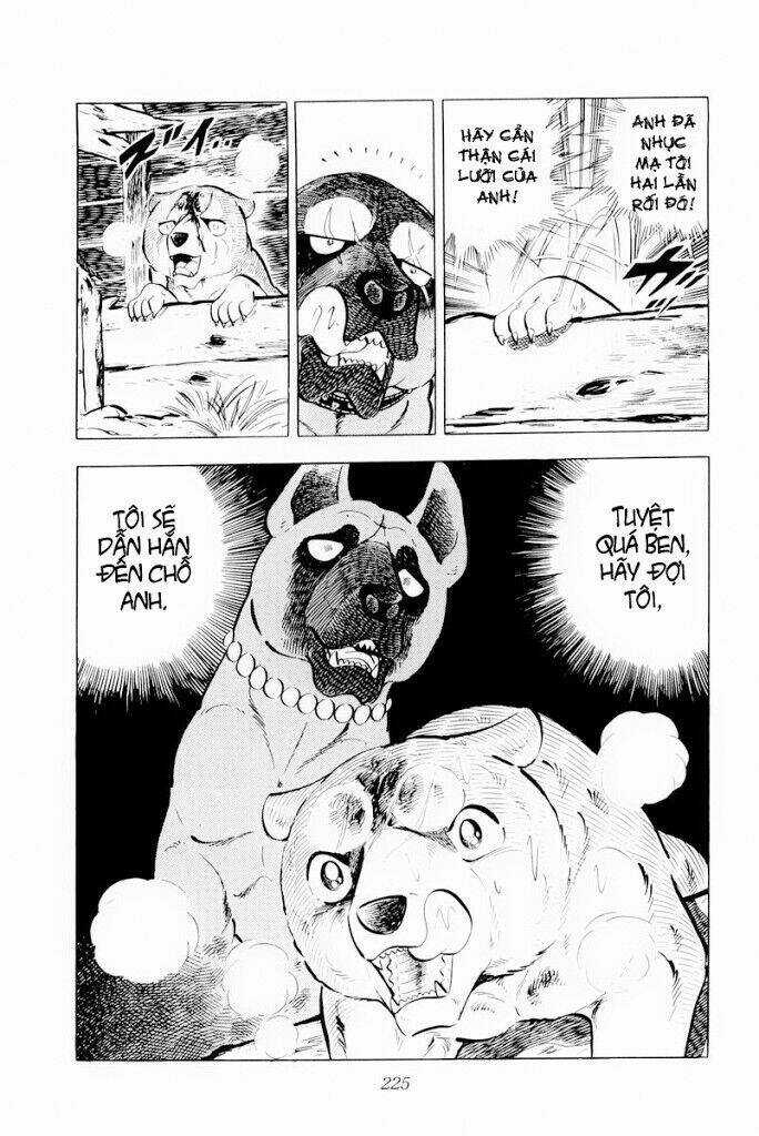 Chú Chó Có Nghĩa - Ginga Nagareboshi Gin Chapter 29.2 trang 11