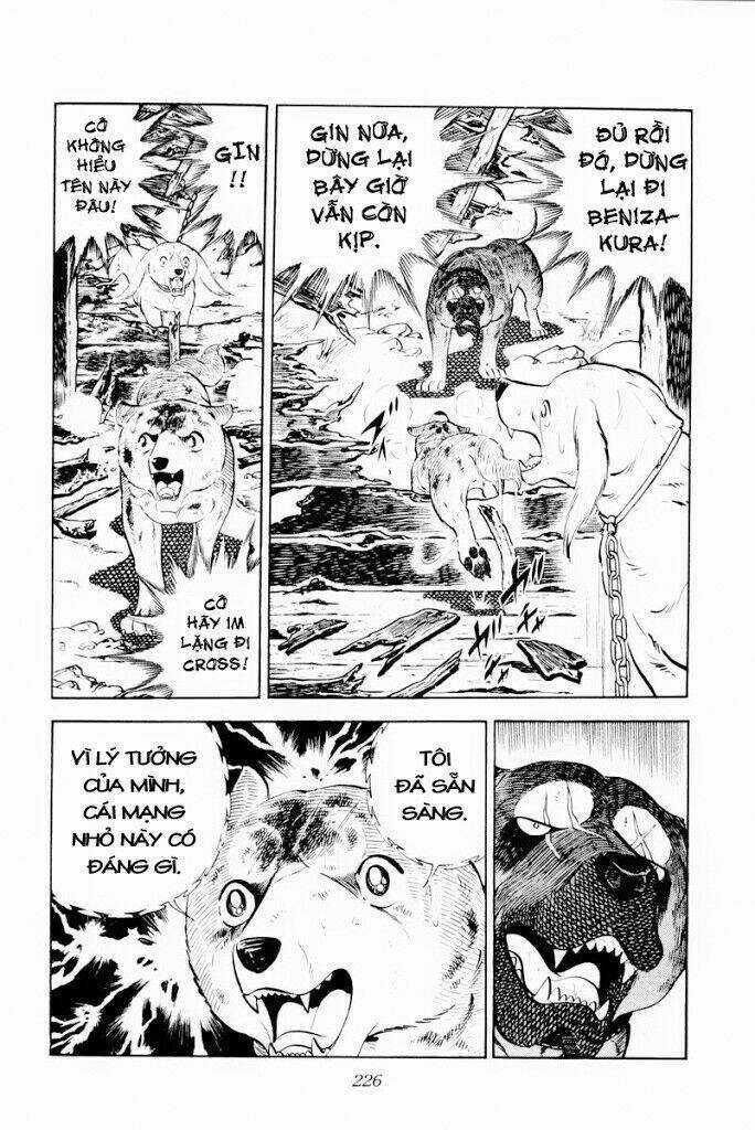 Chú Chó Có Nghĩa - Ginga Nagareboshi Gin Chapter 29.2 trang 12