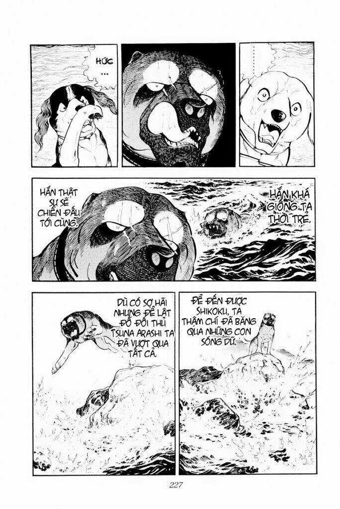 Chú Chó Có Nghĩa - Ginga Nagareboshi Gin Chapter 29.2 trang 13
