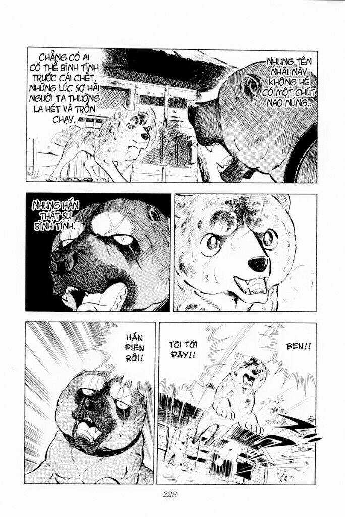 Chú Chó Có Nghĩa - Ginga Nagareboshi Gin Chapter 29.2 trang 14