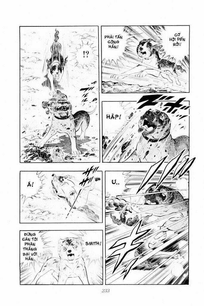 Chú Chó Có Nghĩa - Ginga Nagareboshi Gin Chapter 29.2 trang 19