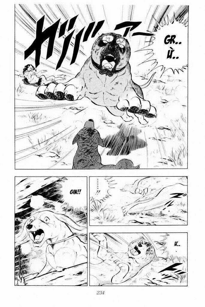 Chú Chó Có Nghĩa - Ginga Nagareboshi Gin Chapter 29.2 trang 20