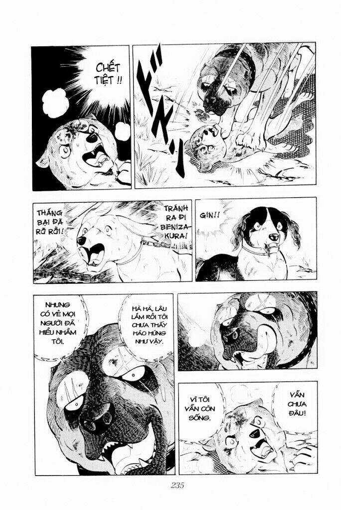 Chú Chó Có Nghĩa - Ginga Nagareboshi Gin Chapter 29.2 trang 21