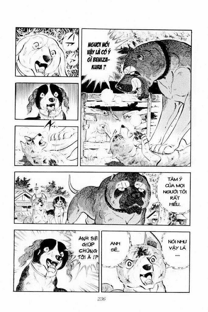 Chú Chó Có Nghĩa - Ginga Nagareboshi Gin Chapter 29.2 trang 22
