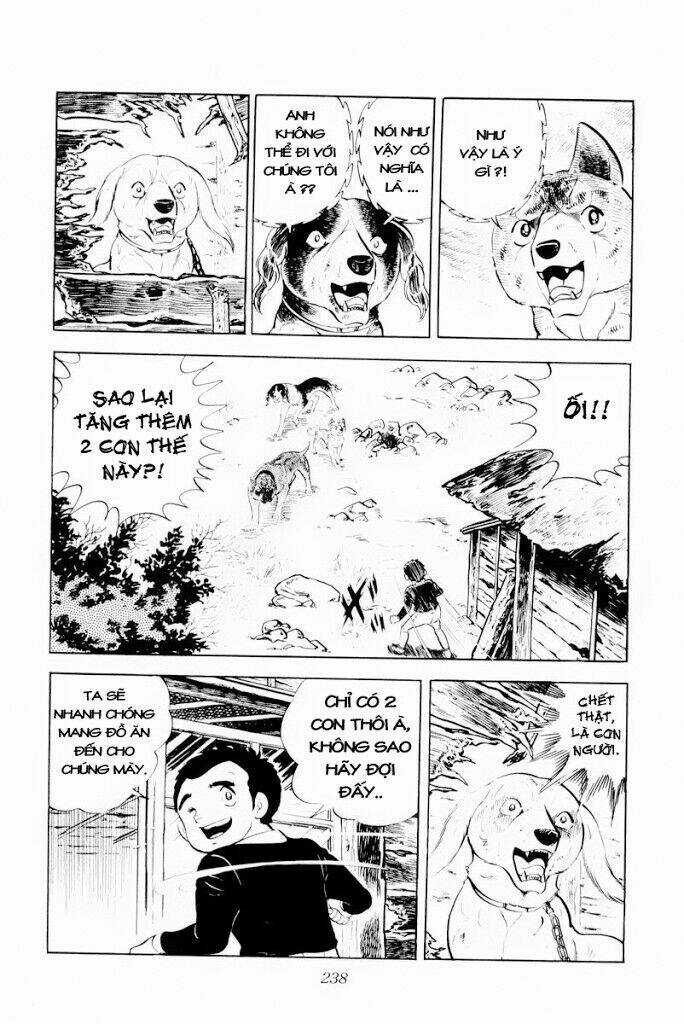 Chú Chó Có Nghĩa - Ginga Nagareboshi Gin Chapter 29.2 trang 24