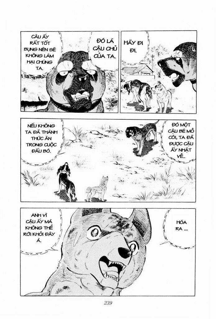 Chú Chó Có Nghĩa - Ginga Nagareboshi Gin Chapter 29.2 trang 25