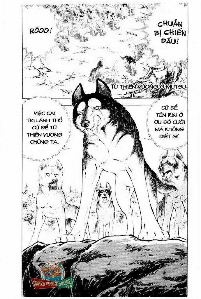 Chú Chó Có Nghĩa - Ginga Nagareboshi Gin Chapter 29.2 trang 29