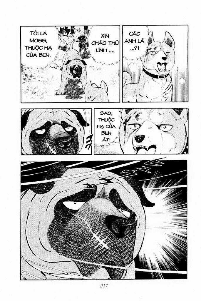 Chú Chó Có Nghĩa - Ginga Nagareboshi Gin Chapter 29.2 trang 3