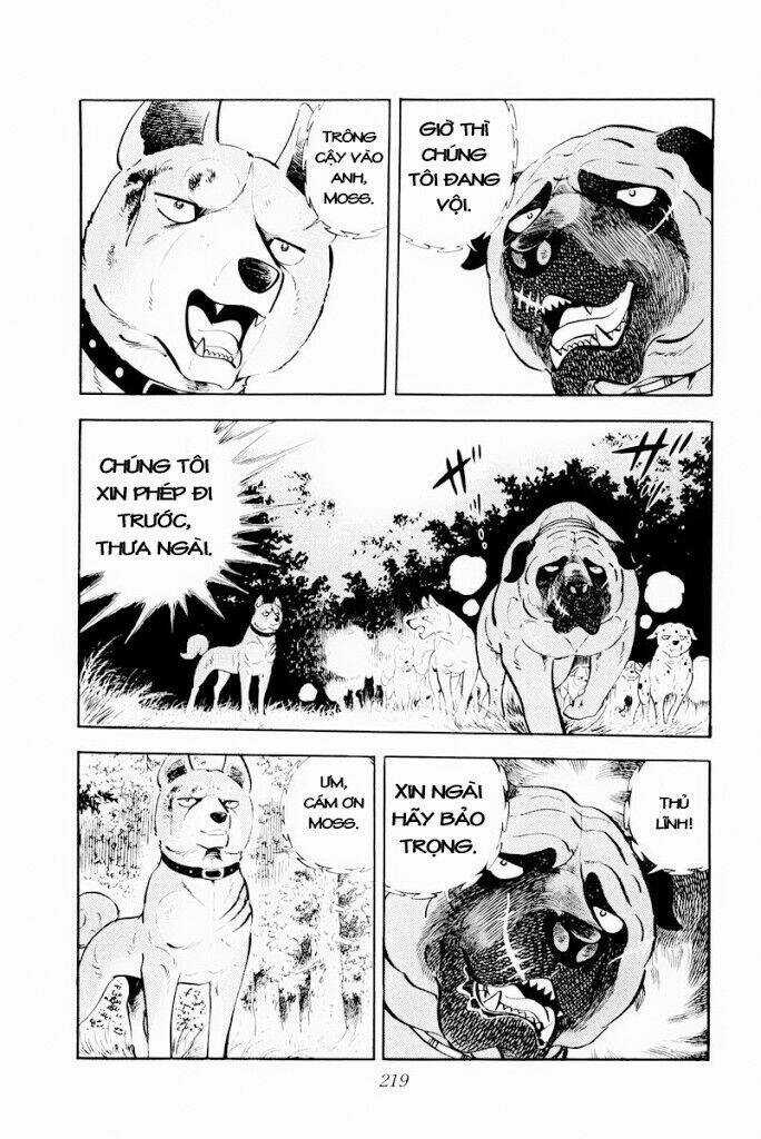 Chú Chó Có Nghĩa - Ginga Nagareboshi Gin Chapter 29.2 trang 5