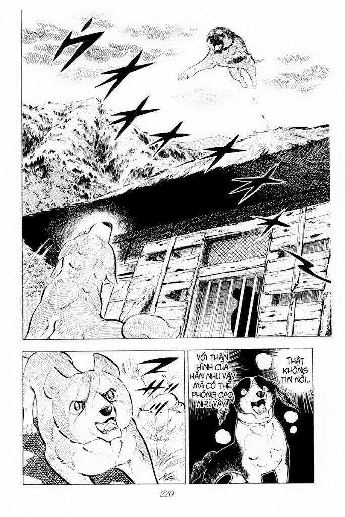 Chú Chó Có Nghĩa - Ginga Nagareboshi Gin Chapter 29.2 trang 6