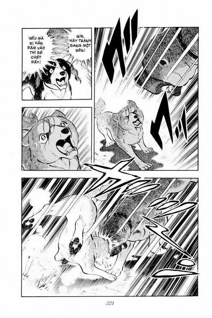 Chú Chó Có Nghĩa - Ginga Nagareboshi Gin Chapter 29.2 trang 7