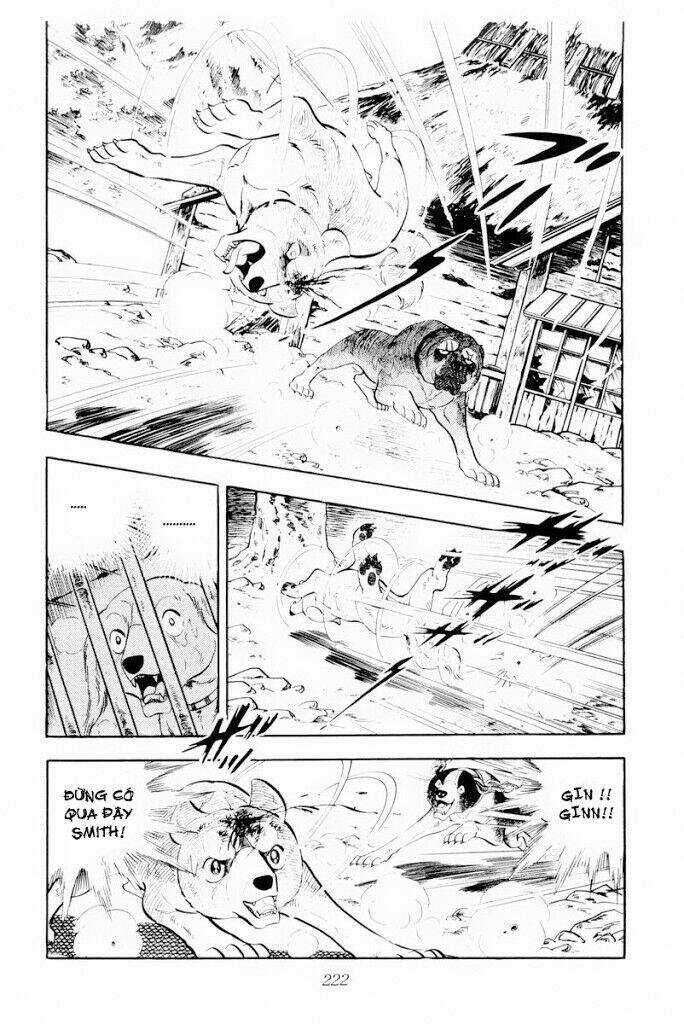 Chú Chó Có Nghĩa - Ginga Nagareboshi Gin Chapter 29.2 trang 8