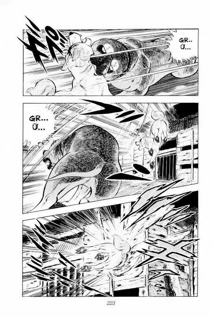Chú Chó Có Nghĩa - Ginga Nagareboshi Gin Chapter 29.2 trang 9