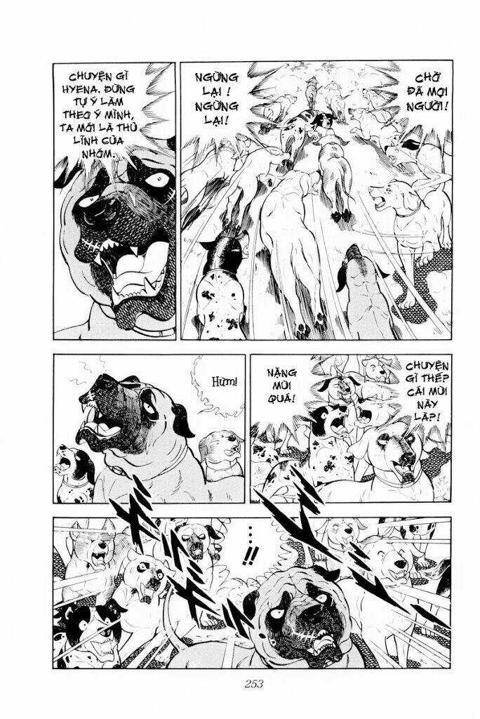 Chú Chó Có Nghĩa - Ginga Nagareboshi Gin Chapter 30.1 trang 10