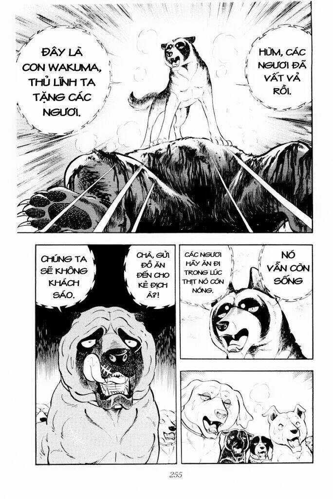 Chú Chó Có Nghĩa - Ginga Nagareboshi Gin Chapter 30.1 trang 12