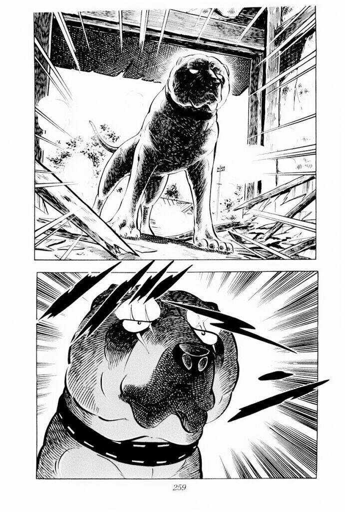 Chú Chó Có Nghĩa - Ginga Nagareboshi Gin Chapter 30.1 trang 16