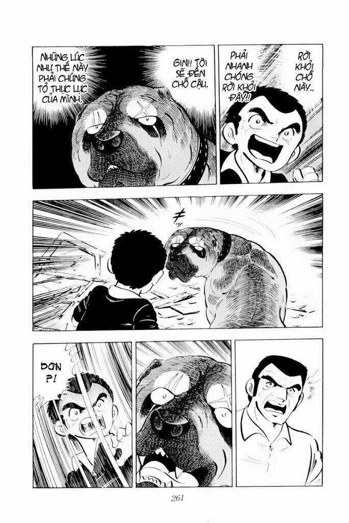 Chú Chó Có Nghĩa - Ginga Nagareboshi Gin Chapter 30.1 trang 18