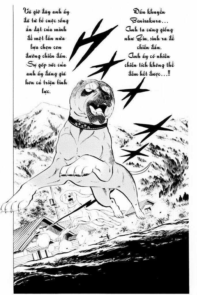 Chú Chó Có Nghĩa - Ginga Nagareboshi Gin Chapter 30.1 trang 21