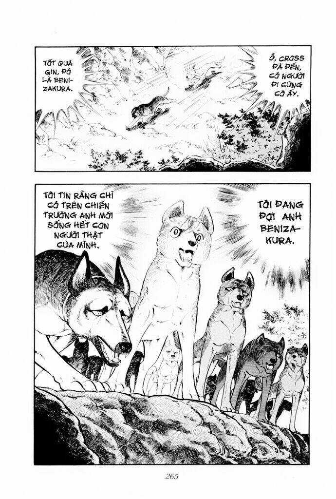 Chú Chó Có Nghĩa - Ginga Nagareboshi Gin Chapter 30.1 trang 22