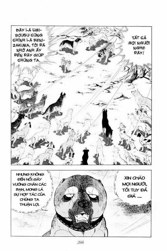 Chú Chó Có Nghĩa - Ginga Nagareboshi Gin Chapter 30.1 trang 23