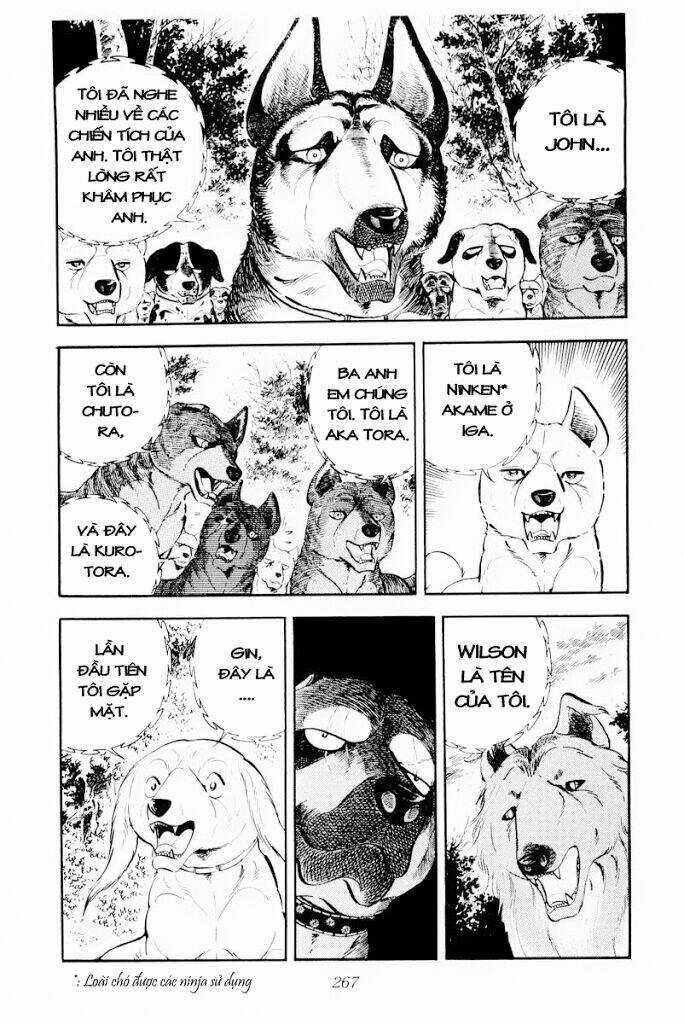 Chú Chó Có Nghĩa - Ginga Nagareboshi Gin Chapter 30.1 trang 24