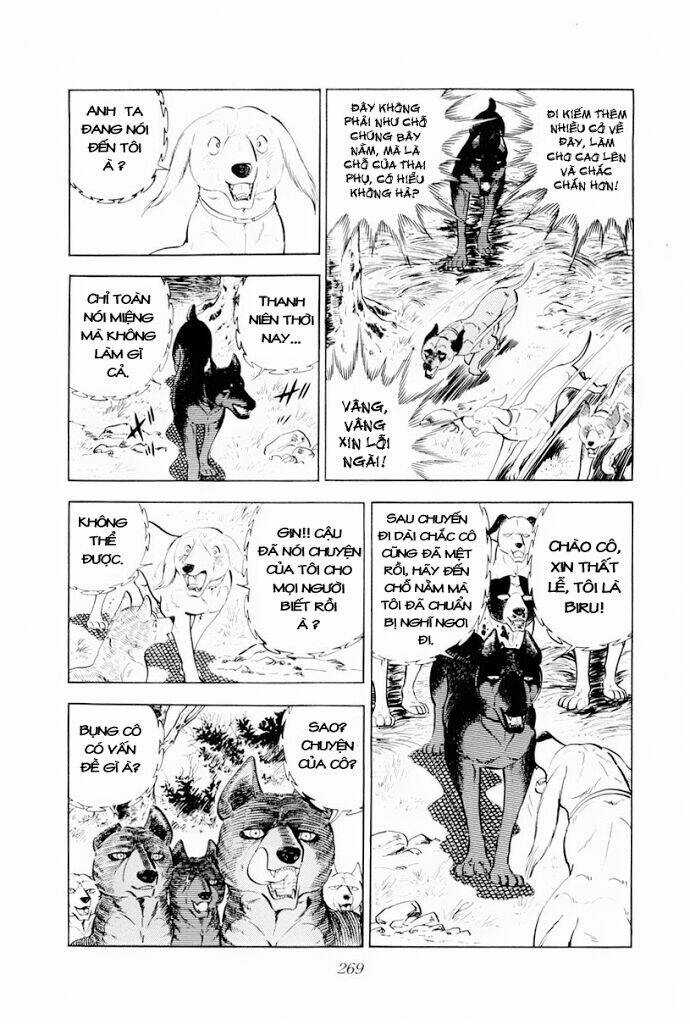 Chú Chó Có Nghĩa - Ginga Nagareboshi Gin Chapter 30.1 trang 26