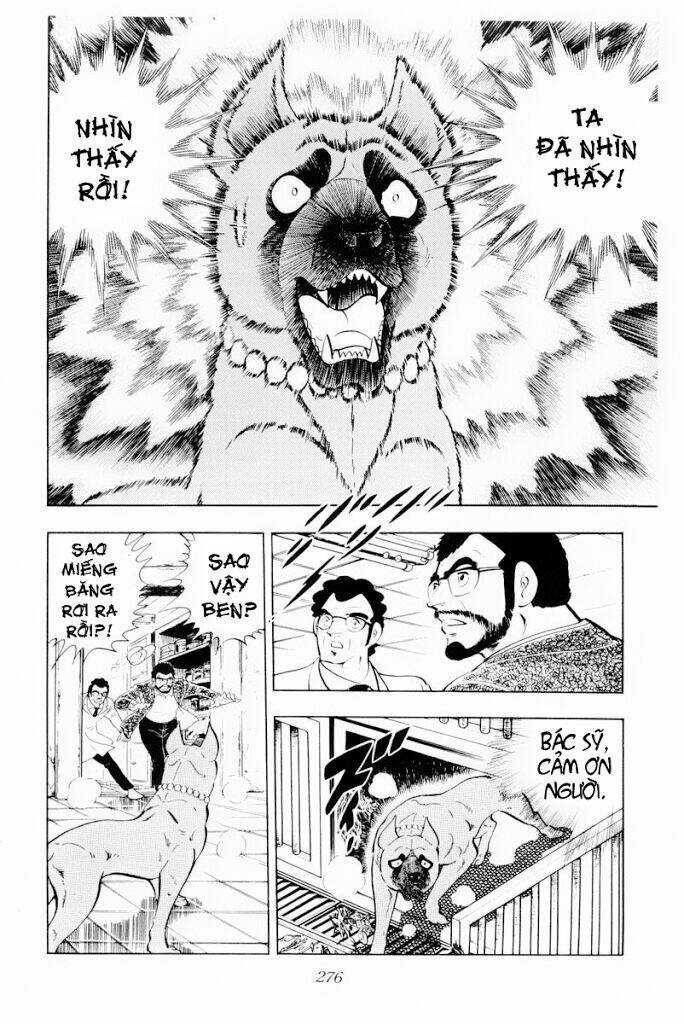 Chú Chó Có Nghĩa - Ginga Nagareboshi Gin Chapter 30.1 trang 33