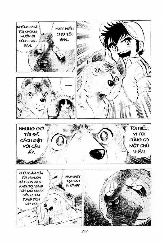 Chú Chó Có Nghĩa - Ginga Nagareboshi Gin Chapter 30.1 trang 4