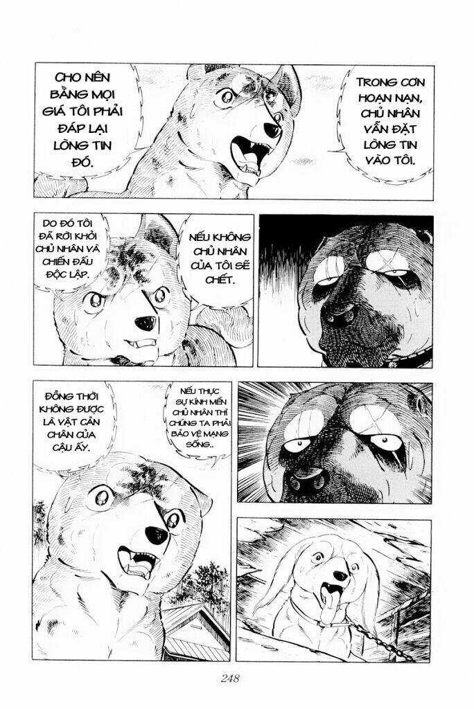 Chú Chó Có Nghĩa - Ginga Nagareboshi Gin Chapter 30.1 trang 5