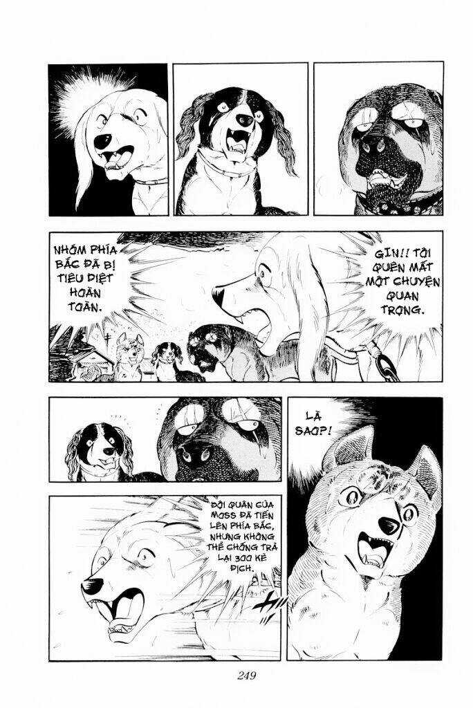 Chú Chó Có Nghĩa - Ginga Nagareboshi Gin Chapter 30.1 trang 6