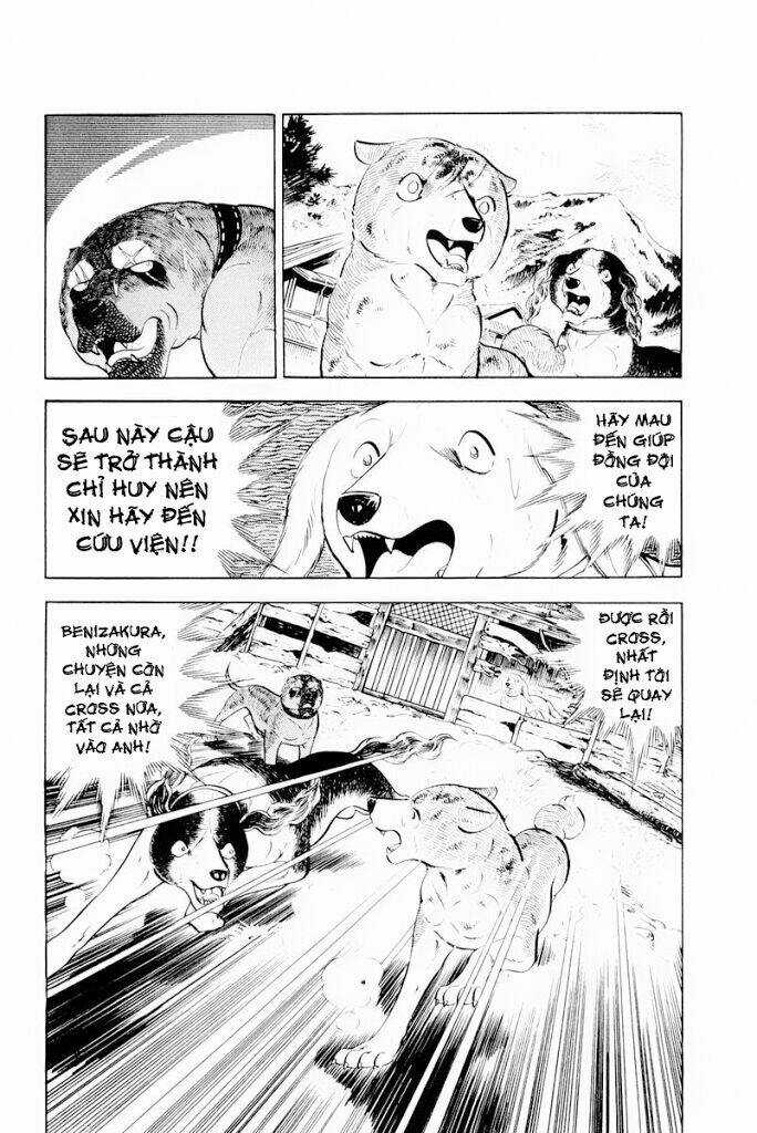 Chú Chó Có Nghĩa - Ginga Nagareboshi Gin Chapter 30.1 trang 7