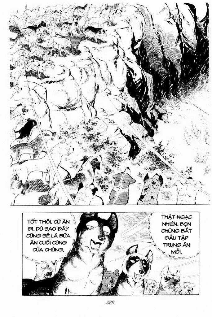 Chú Chó Có Nghĩa - Ginga Nagareboshi Gin Chapter 30.2 trang 11
