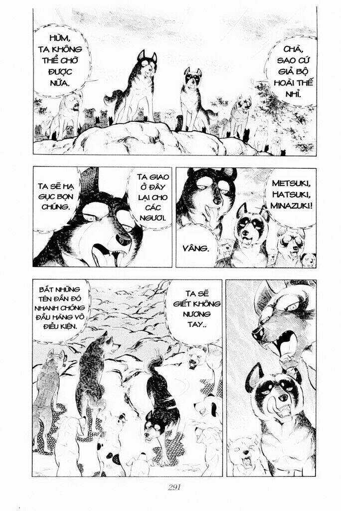 Chú Chó Có Nghĩa - Ginga Nagareboshi Gin Chapter 30.2 trang 13