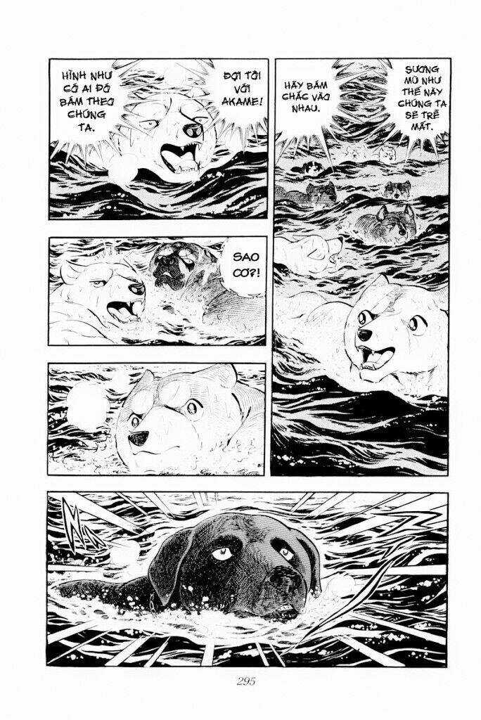 Chú Chó Có Nghĩa - Ginga Nagareboshi Gin Chapter 30.2 trang 17