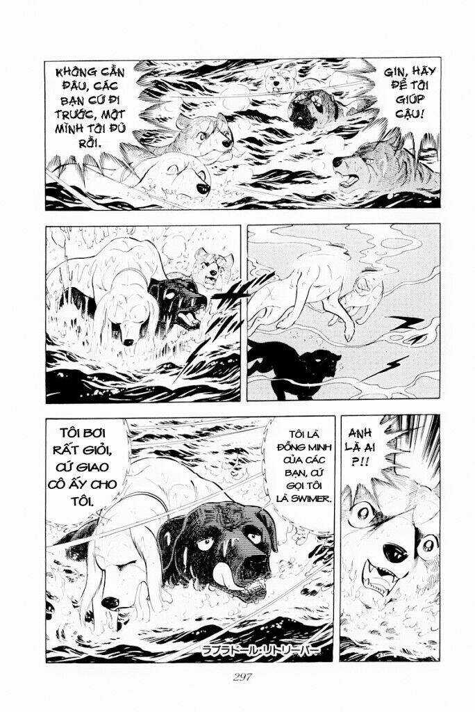 Chú Chó Có Nghĩa - Ginga Nagareboshi Gin Chapter 30.2 trang 19