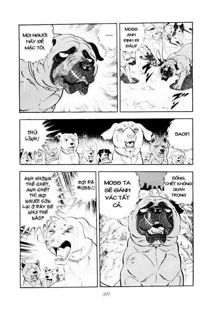 Chú Chó Có Nghĩa - Ginga Nagareboshi Gin Chapter 30.2 trang 23