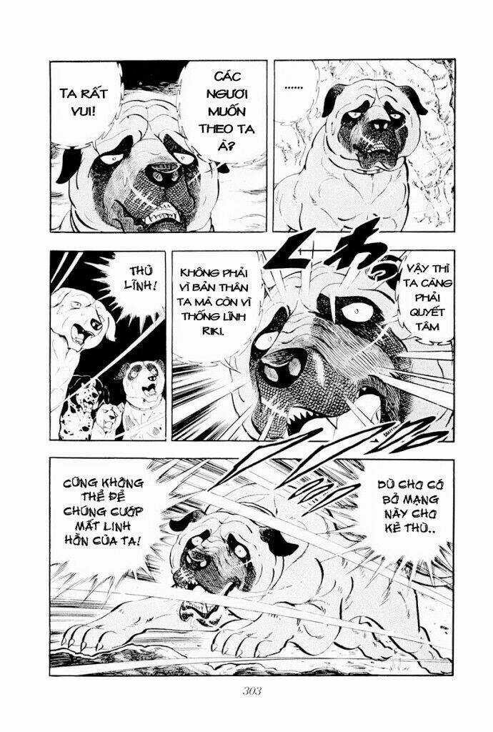 Chú Chó Có Nghĩa - Ginga Nagareboshi Gin Chapter 30.2 trang 25