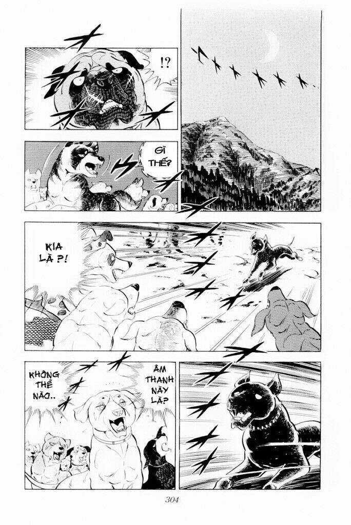 Chú Chó Có Nghĩa - Ginga Nagareboshi Gin Chapter 30.2 trang 26