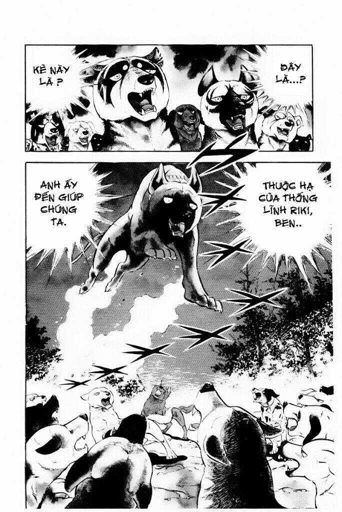 Chú Chó Có Nghĩa - Ginga Nagareboshi Gin Chapter 30.2 trang 28